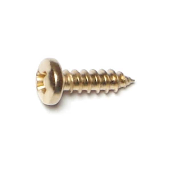 Midwest Fastener Sheet Metal Screw, #6 x 1/2 in, Brass Plated Steel Pan Head Phillips Drive, 50 PK 64141 - main